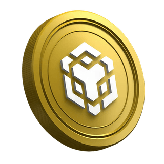 Pagina della guida per il trader principiante con la criptovaluta BNB